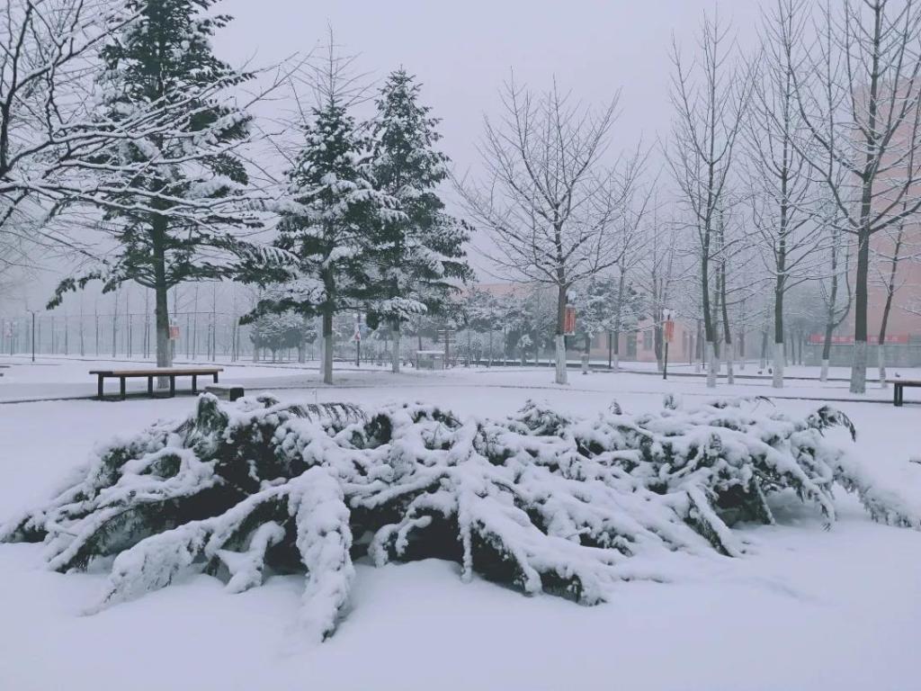 1b0632202b3e44aa89325c76b9e85875.jpg 1b0632202b3e44aa89325c76b9e85875.jpg