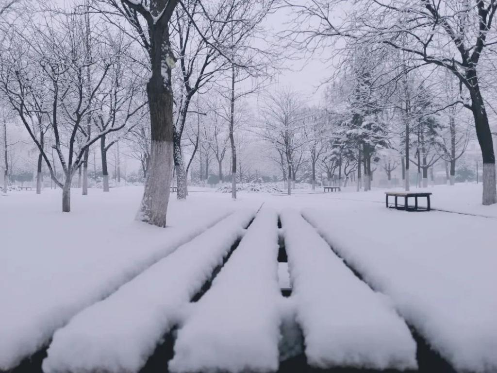 5ee05d589d964b79877d01aa2f3ba7a3.jpg 5ee05d589d964b79877d01aa2f3ba7a3.jpg