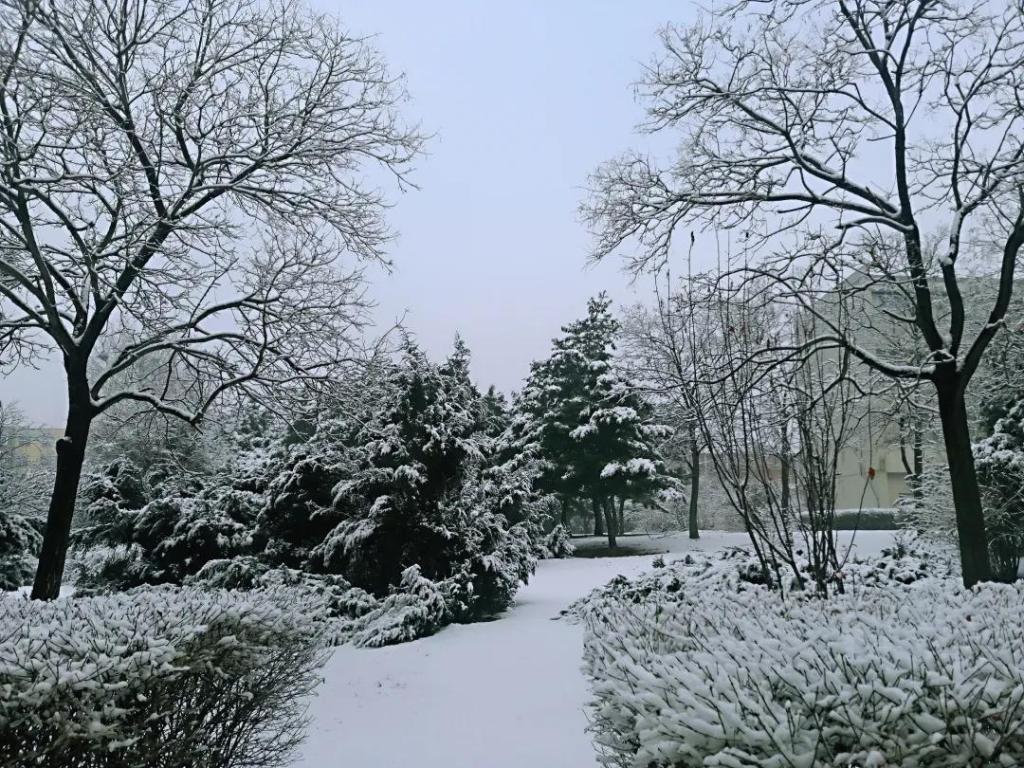 7e0b9a1359434b7282f3955b721b78a0.jpg 7e0b9a1359434b7282f3955b721b78a0.jpg