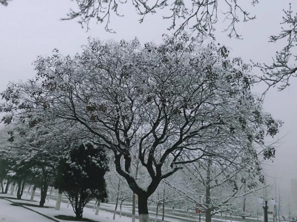 7fe47caf74d242d4a690de0317ec2319.jpg 7fe47caf74d242d4a690de0317ec2319.jpg