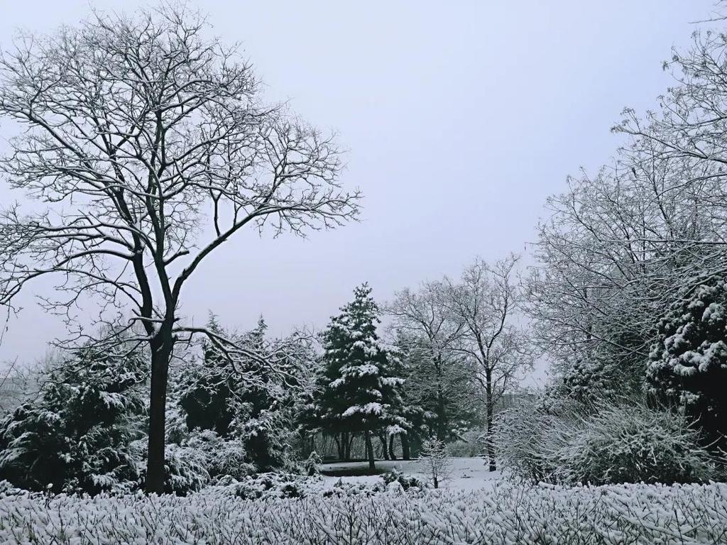 99051066a81b44658568ba4cec9de326.jpg 99051066a81b44658568ba4cec9de326.jpg