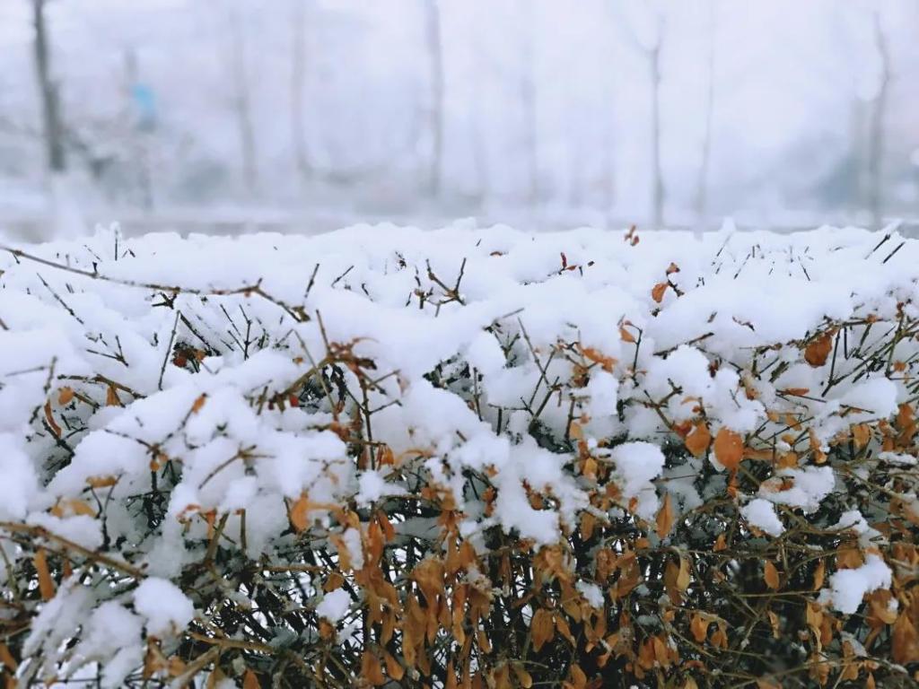 bd67b0d0d1484c879c1eac1acea7f5be.jpg bd67b0d0d1484c879c1eac1acea7f5be.jpg