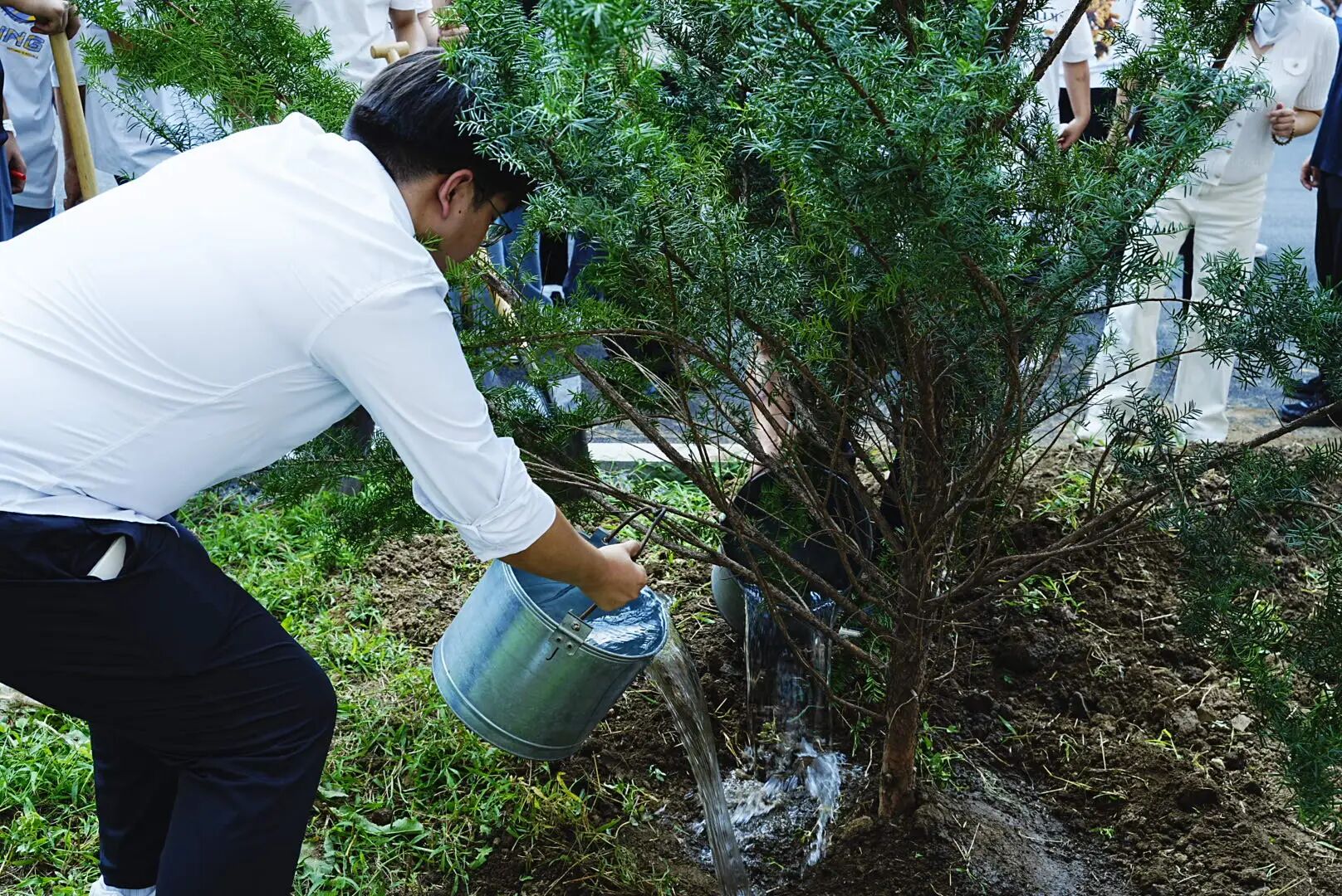 4d794685876946a38810e4f0bc9cabe2.jpeg 4d794685876946a38810e4f0bc9cabe2.jpeg